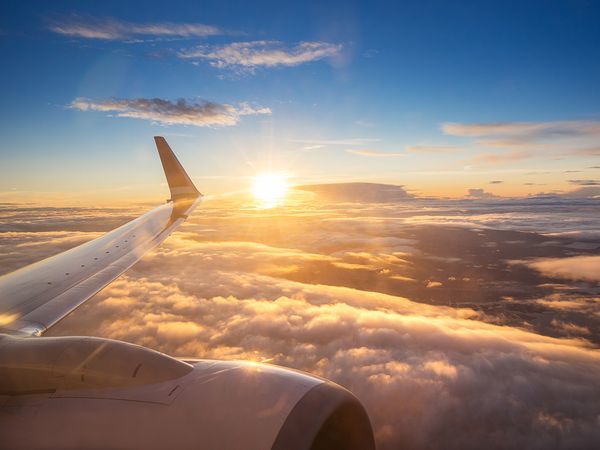 shutterstock.com/ предоставлено компанией ООО "Терминал-Ресурс"